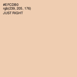 #EFCDB0 - Just Right Color Image